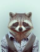 спортивный прогнозист benstiller