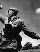 спортивный прогнозист Statistik19