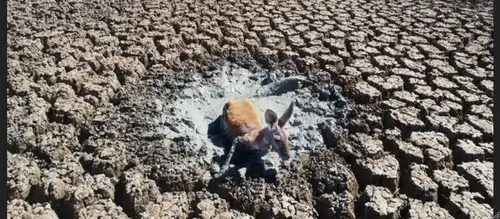 Жара в Австралии