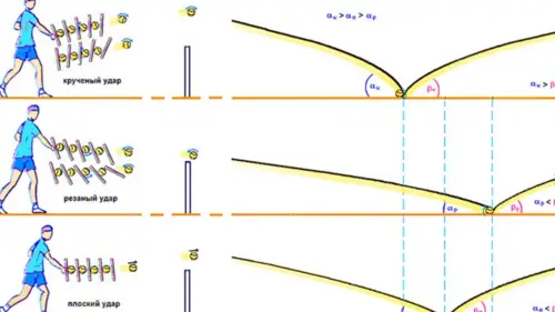 Факторы влияния на скорость корта
