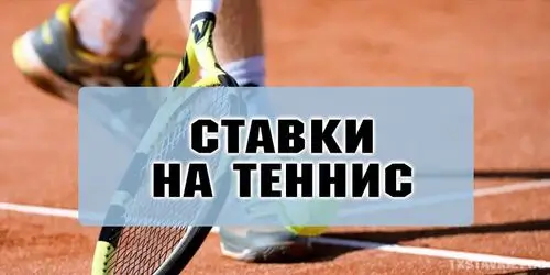 Ставки на ATP vs WTA