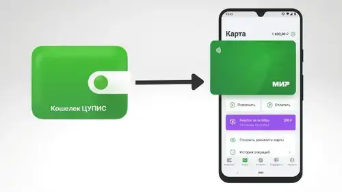 Схема работы ЦУПИС