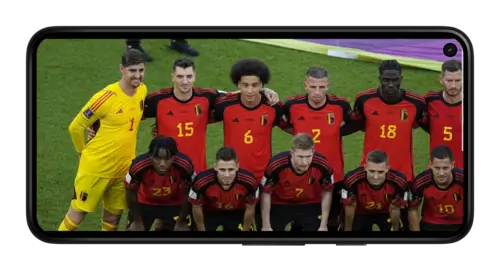 ЕВРО-2024: Сборная Бельгии по футболу на Betteam.pro