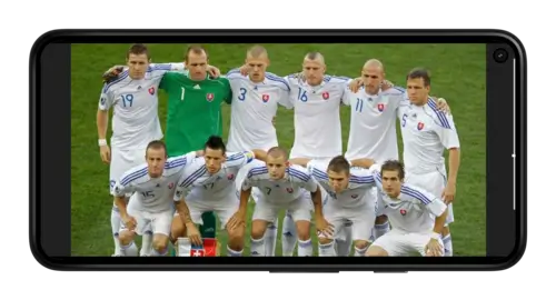 ЕВРО-2024: Сборная Словакии по футболу на Betteam.pro
