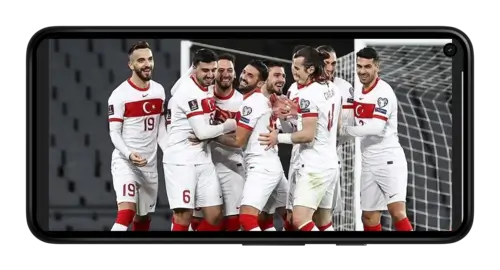 ЕВРО-2024: Сборная Турции по футболу на Betteam.pro