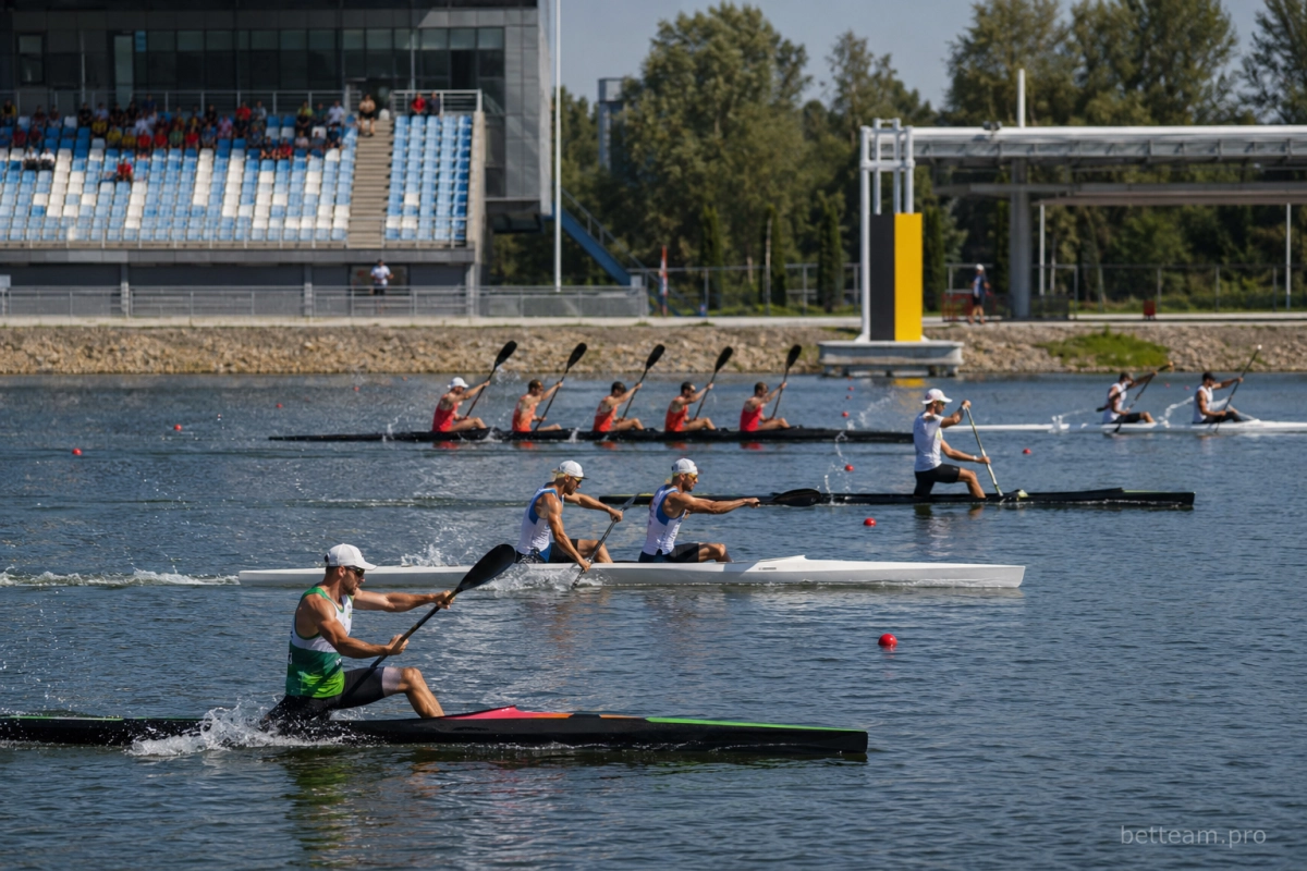 Классы лодок на чемпионате мира по гребле на байдарках и каноэ 2026