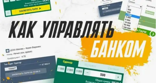 Учёт банкролла и ставок в интерактивном беттинге