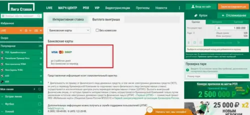Пошаговая инструкция вывода денег