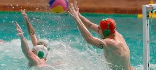 Вид спорта: водное поло