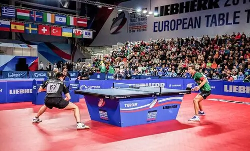 Чемпионат Мира по настольному теннису