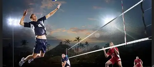 Стратегии ставок на волейбол