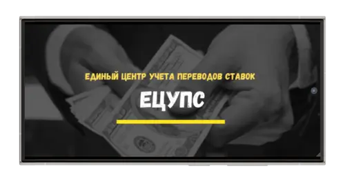 Сервис для учета ставок ЕЦУПС