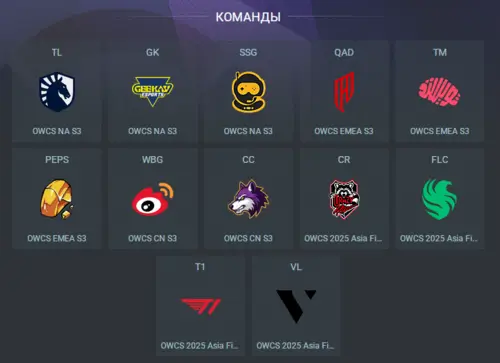 Участники OWCS 2025