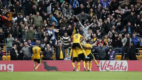 Wolverhampton Wanderers &mdash; Молинью и болельщики Wolves