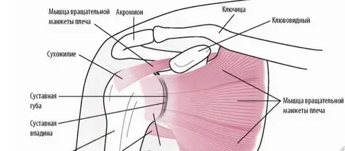 Травма плеча в теннисе