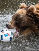 спортивный прогнозист serzh.kienko