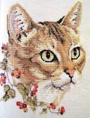 спортивный прогнозист blinker