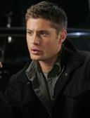 спортивный прогнозист VenturesomeStranger