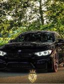 спортивный прогнозист bega87