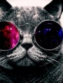 спортивный прогнозист vlad123123