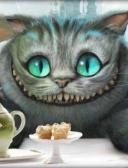 спортивный прогнозист 24952009