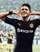 спортивный прогнозист ashiM