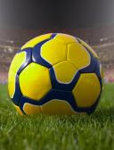 спортивный прогнозист Xottabrus