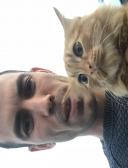 спортивный прогнозист Boomen