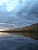 спортивный прогнозист Незнайка