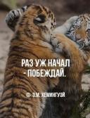 спортивный прогнозист adik555