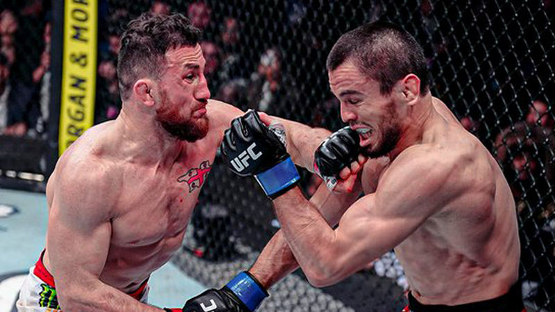 UFC 311 двалишвили нурмагомедов махачев мойкано